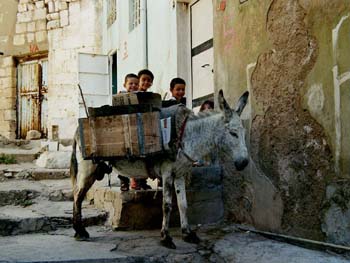Mardin